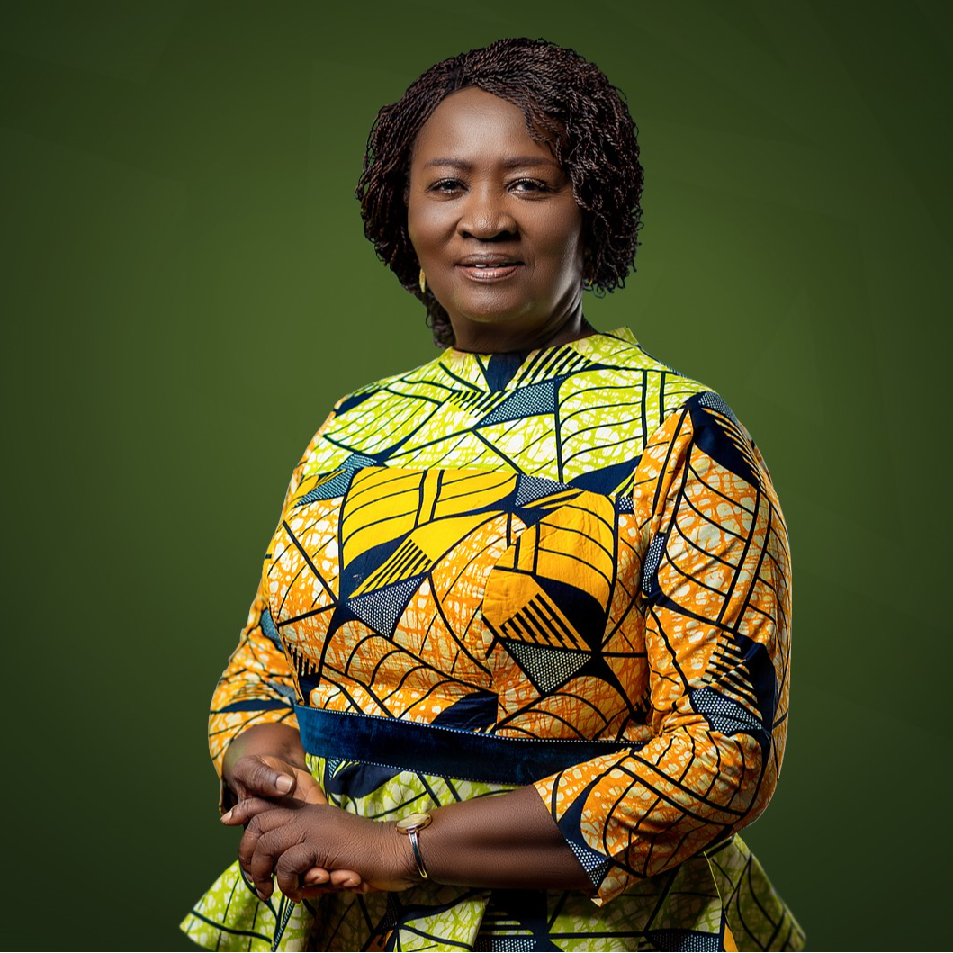 H.E. Prof. Naana Jane Opoku-Agyemang
