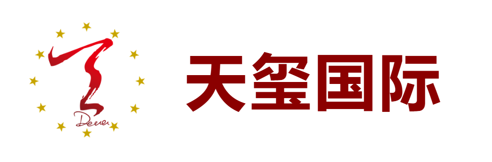 天玺国际 logo