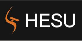 HENAN HESU GROUP CO., LTD